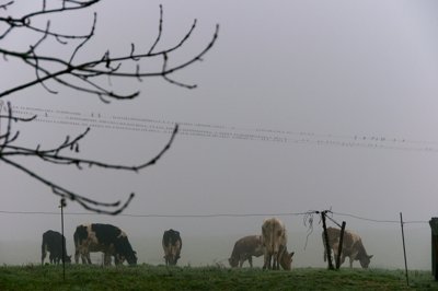 Production de méthane_5123673164_l.jpg